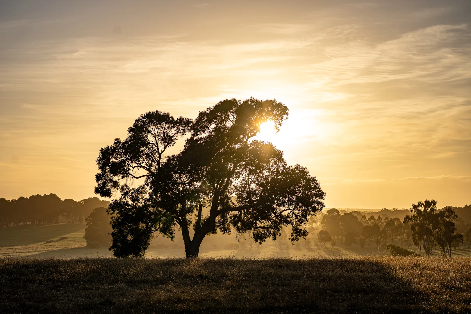 Additional image 15 of 89 Worgan Road, Metricup WA 6280