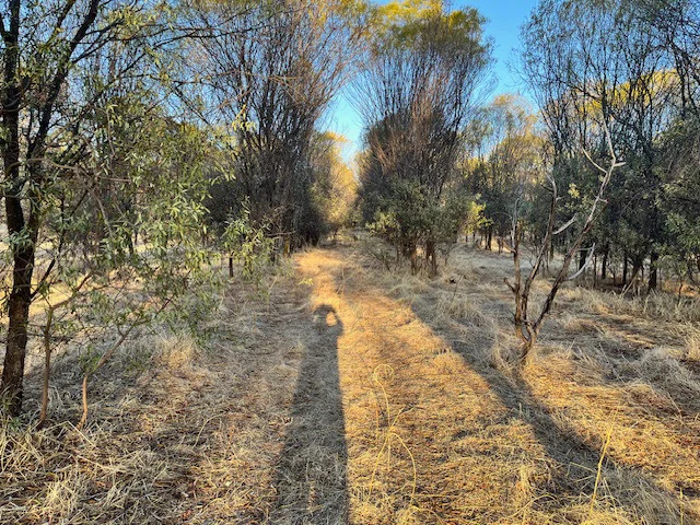 Additional image 15 of 964 Dobaderry Road, Beverley WA 6304