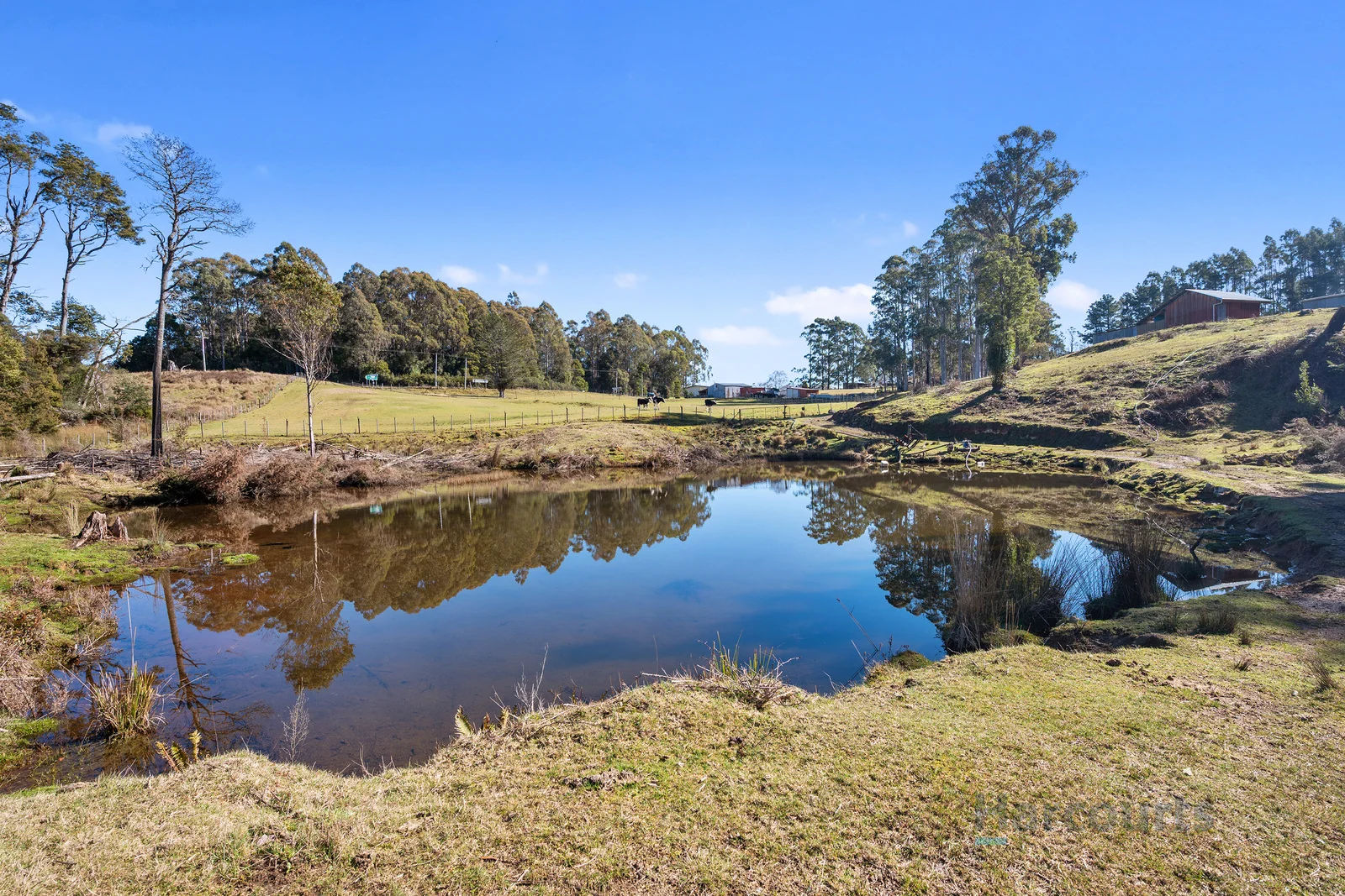 Additional image 15 of 3079 Castra Road, Nietta TAS 7315