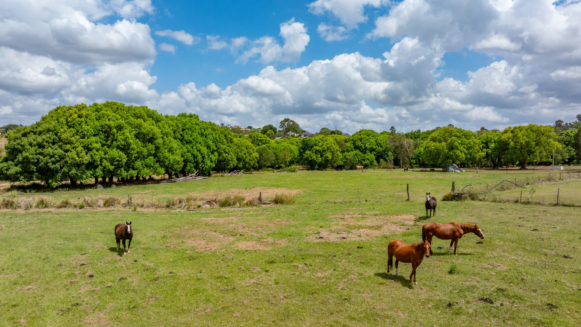 Additional image 9 of 698-699 Leeann Road, Monkland QLD 4570