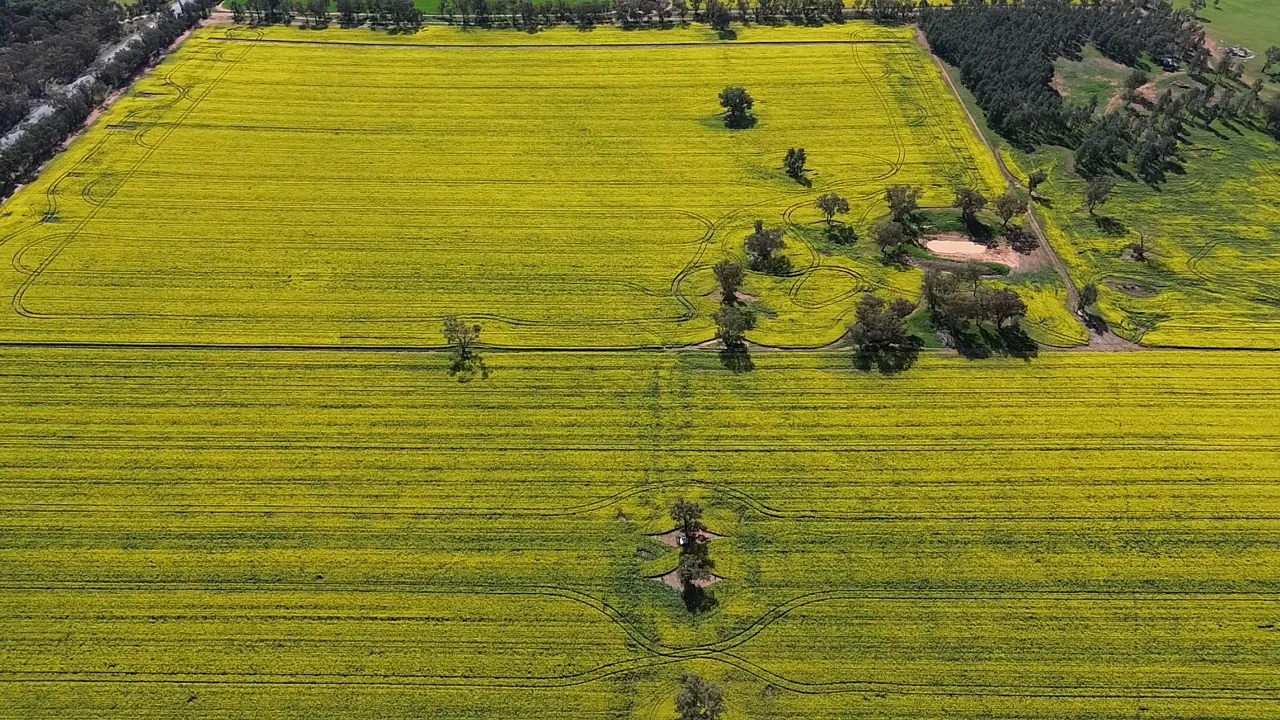 Additional image 4 of 2 Coolamon Road, Coolamon NSW 2701