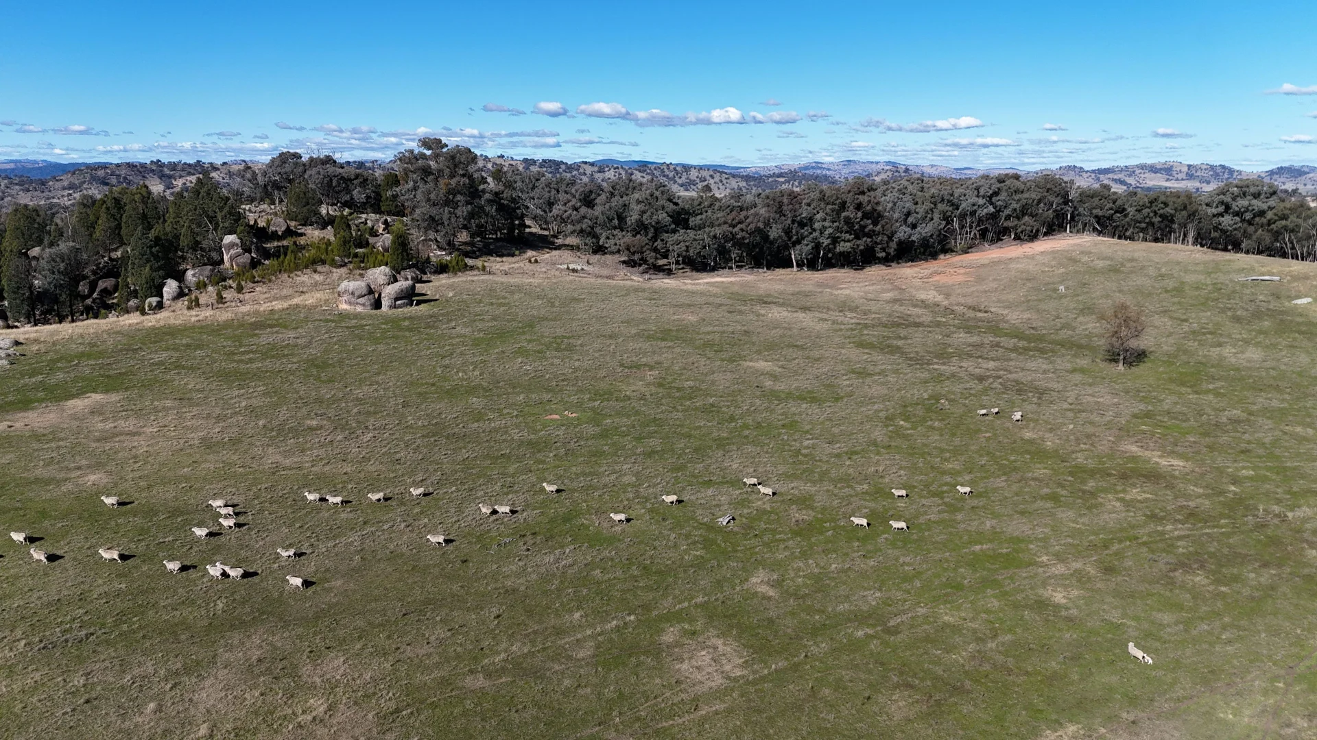 Additional image 5 of Spring Valley, 395 Battery Road, Cowra NSW 2794