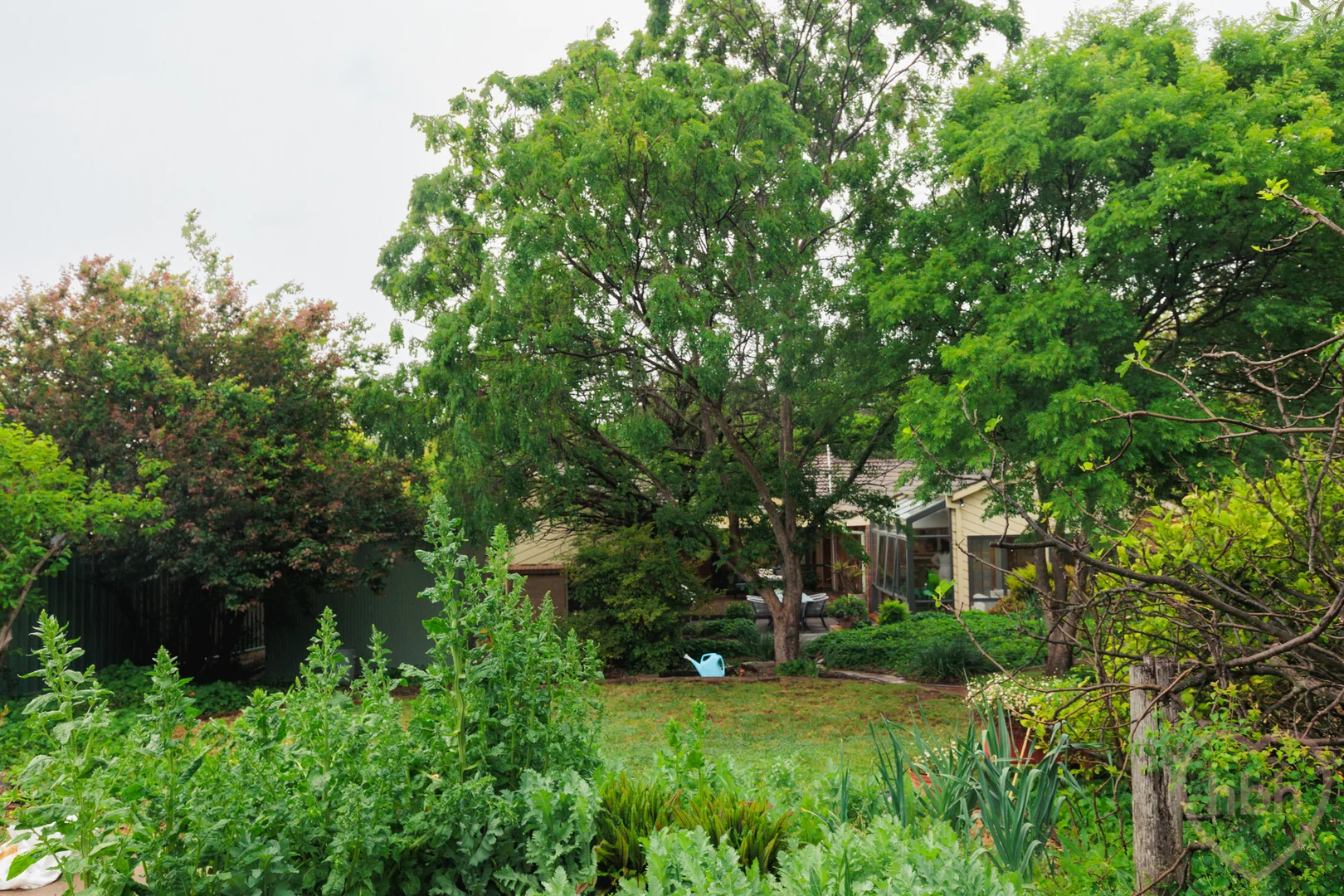 Additional image 31 of 43 Throssell Street, Curtin ACT 2605