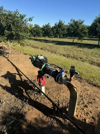 Additional image 13 of Skyring Reserve QLD 4671