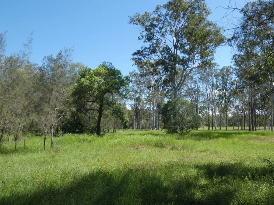 Additional image 32 of 158 Taunton Road, Euleilah QLD 4674