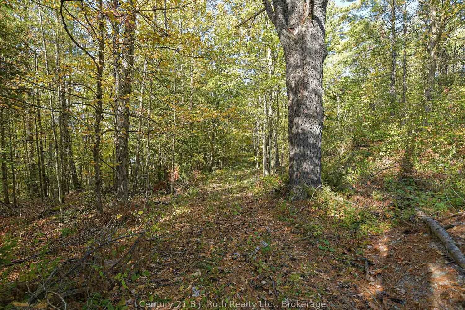 Additional image 13 of 1112 Sam Cook Road 2