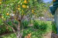 Additional image 44 of 916 E Santa Paula St, Santa Paula, CA, 93060