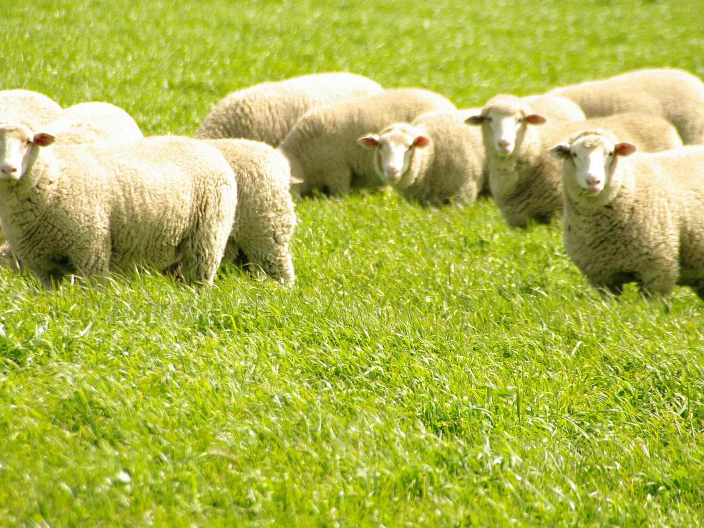 Additional image 10 of 10 Nalinga Road, Seymour VIC 3660