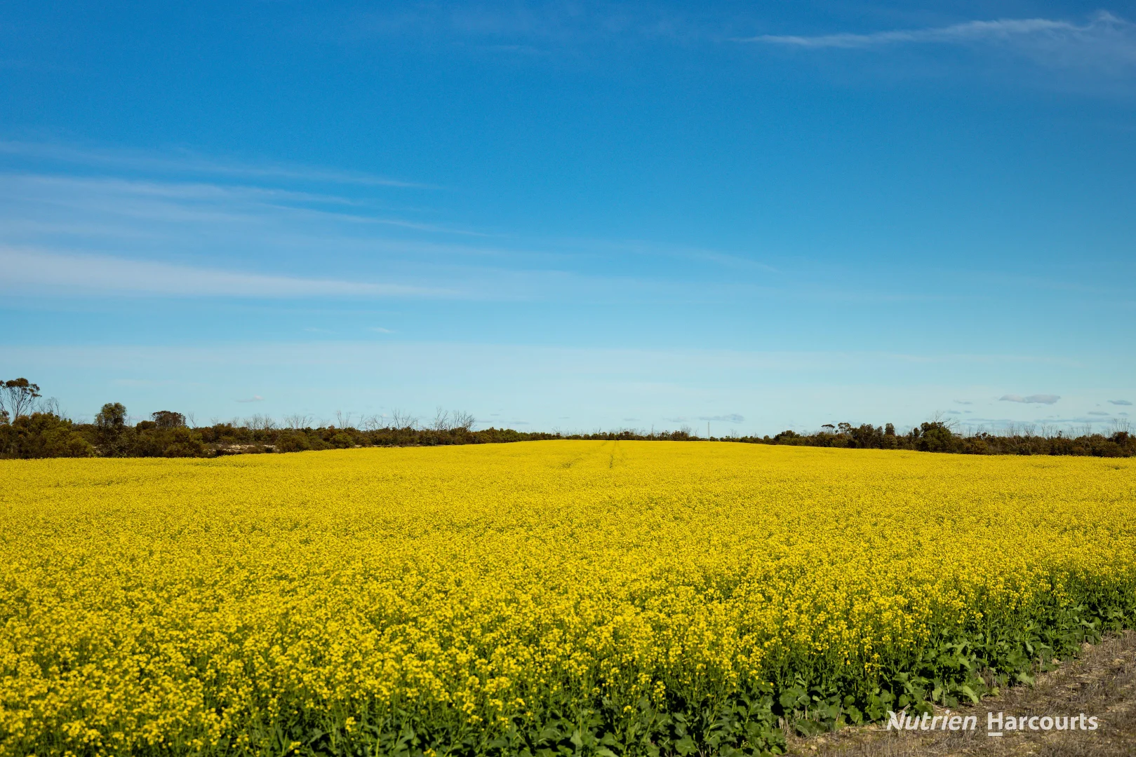 Additional image 9 of . Kendall Road, Scaddan WA 6447