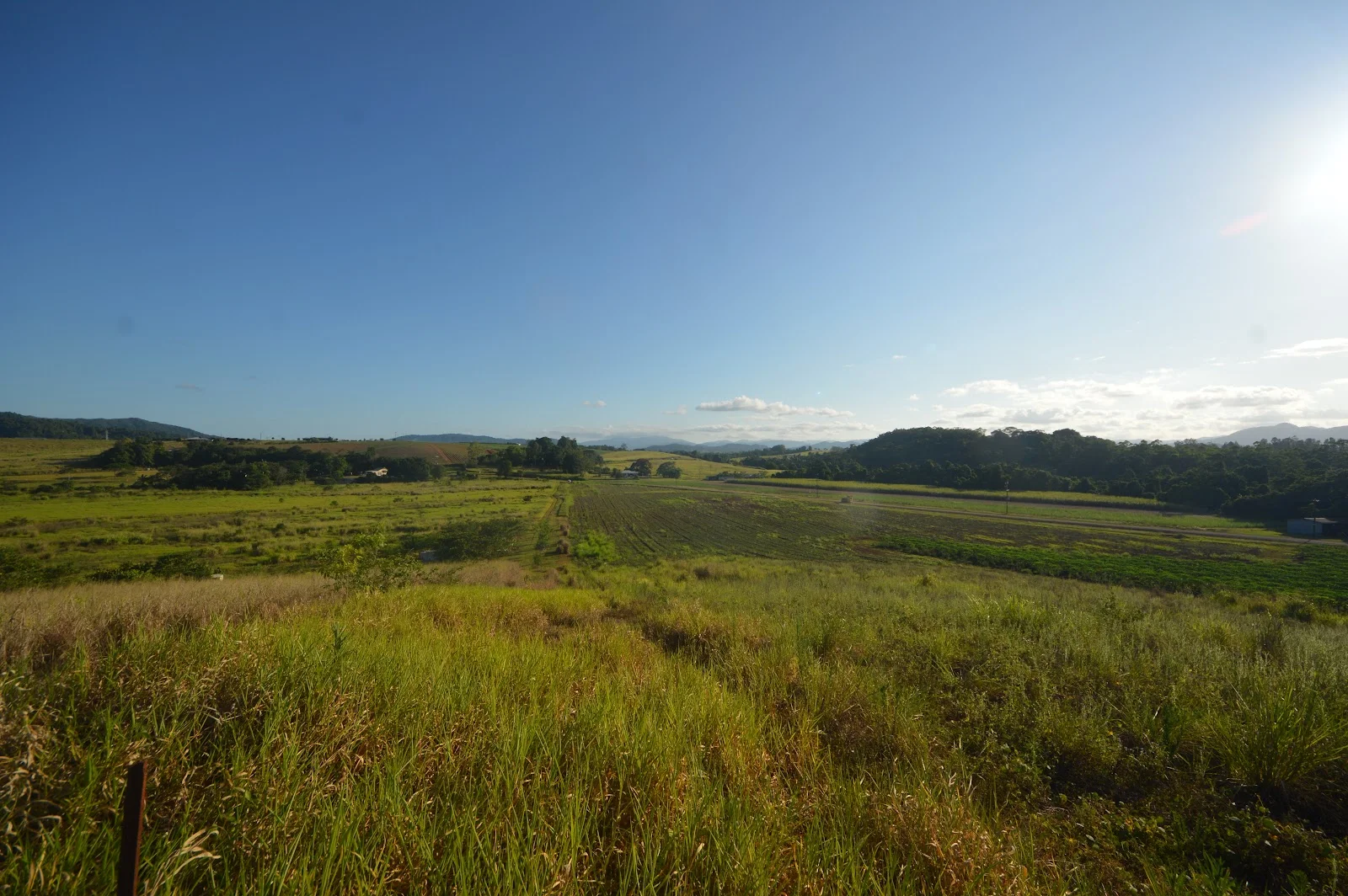 Additional image 23 of 1212 Innisfail Japoon Road, Camp Creek QLD 4871