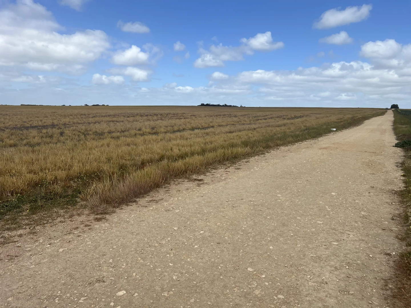 Additional image 4 of 162 Pope Road, Karoonda SA 5307