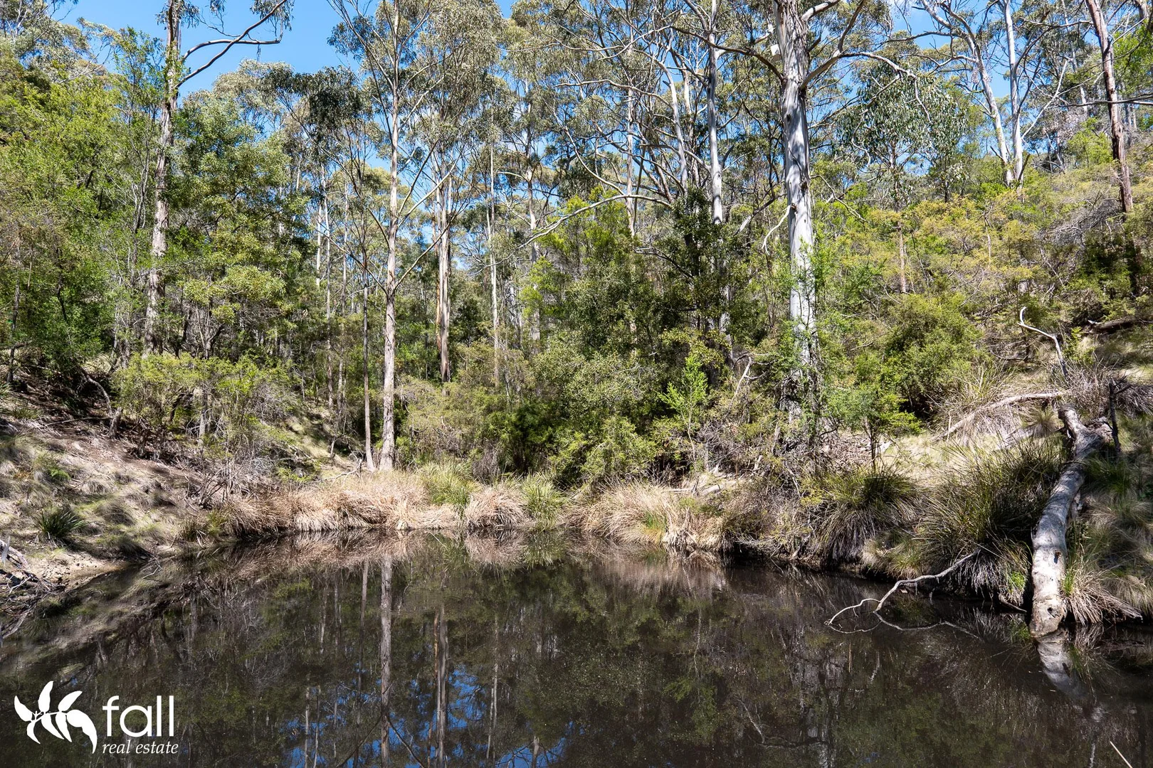 Additional image 21 of 402 Bruny Island Main Road, North Bruny TAS 7150