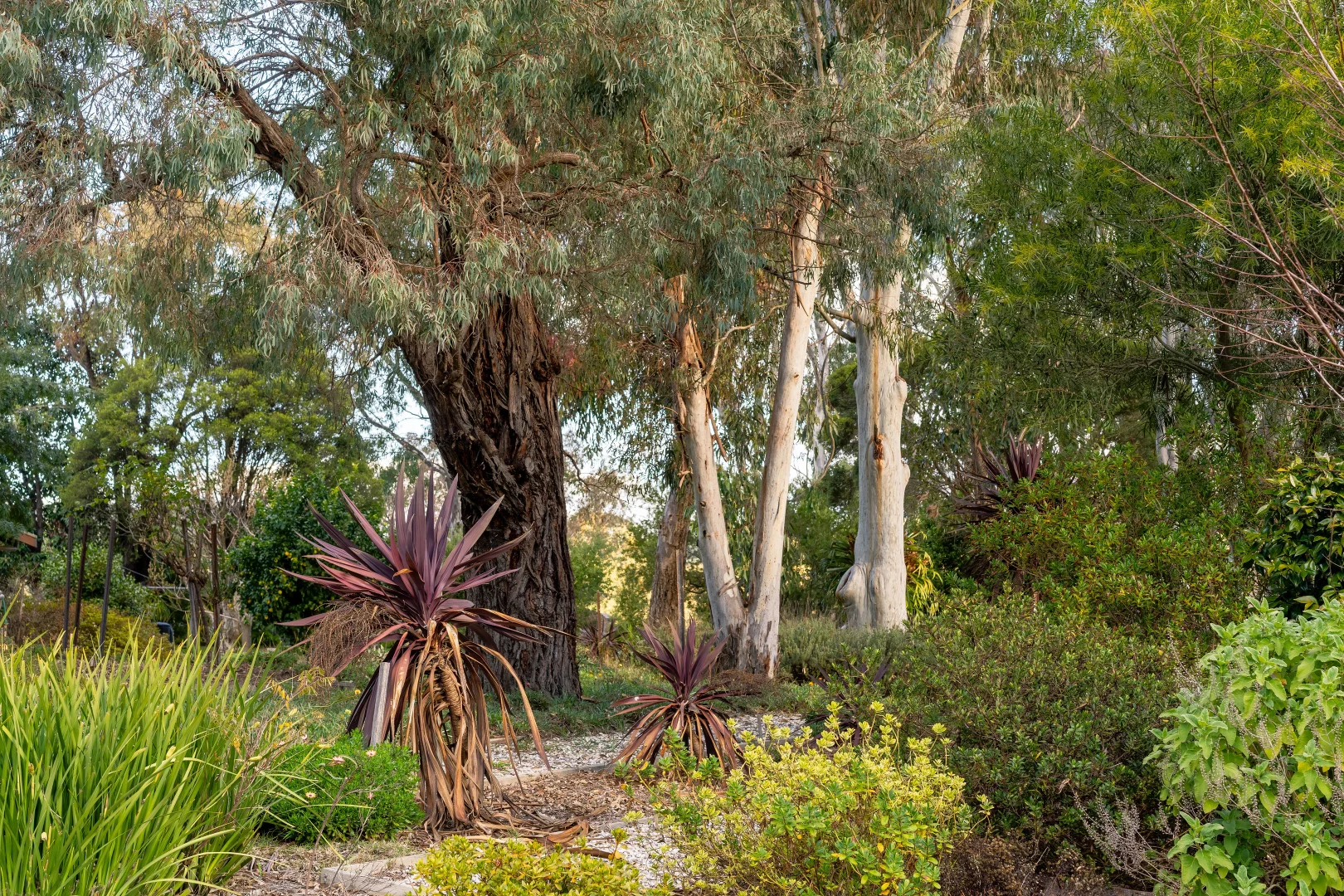 Additional image 22 of 59 Halls Flat Road, Alexandra VIC 3714