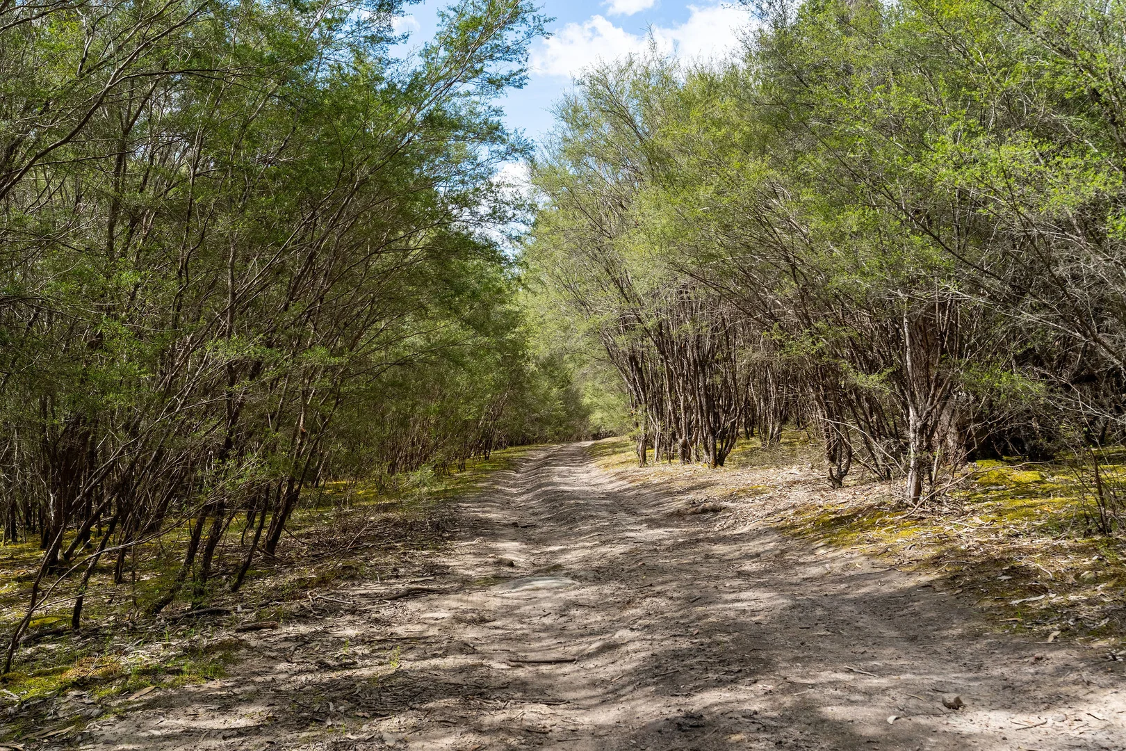 Additional image 10 of 368 Rubicon Road, Rubicon VIC 3712