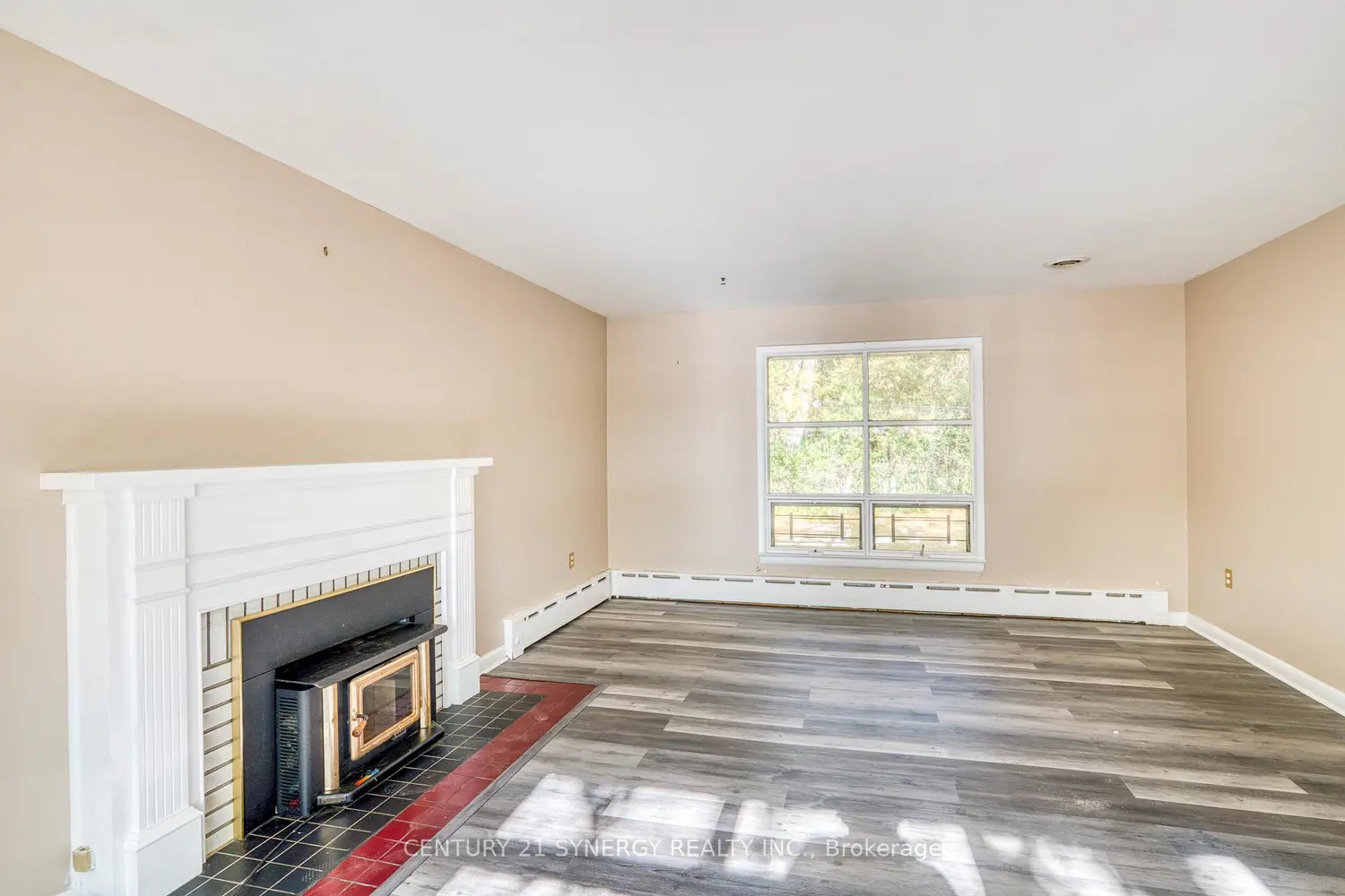 Additional image 7 of 55 Drummond Street