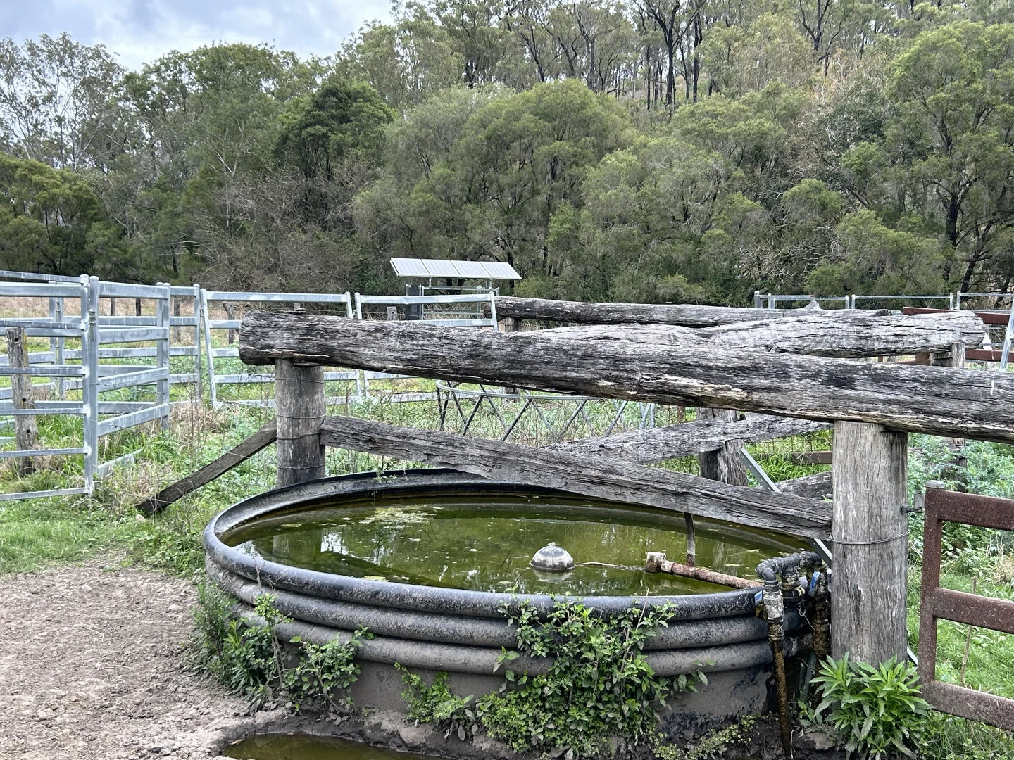 Additional image 24 of 789 Coppin Rd, Monto QLD 4630