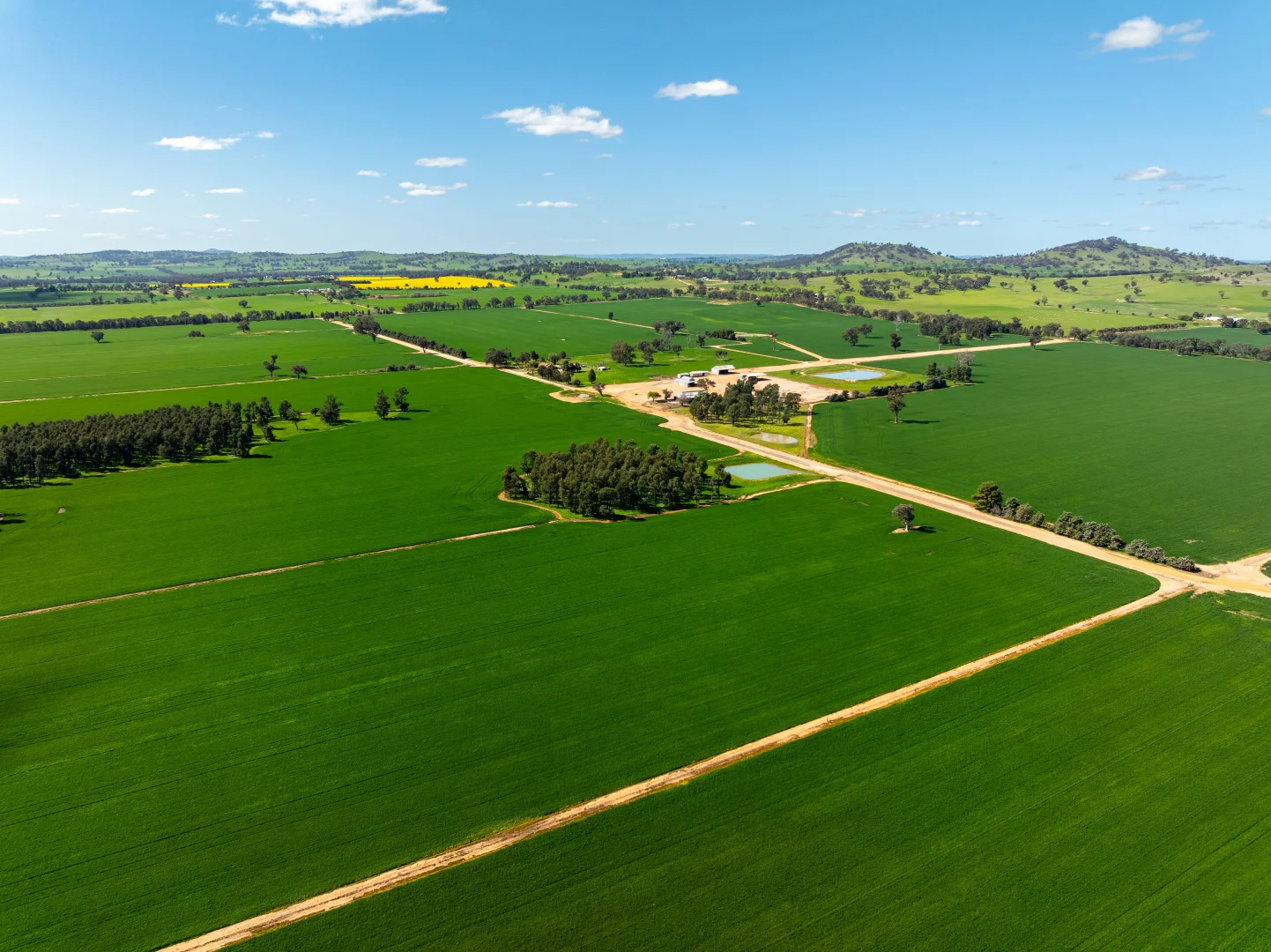Additional image 19 of 484 Merri Meric Road, Henty NSW 2658