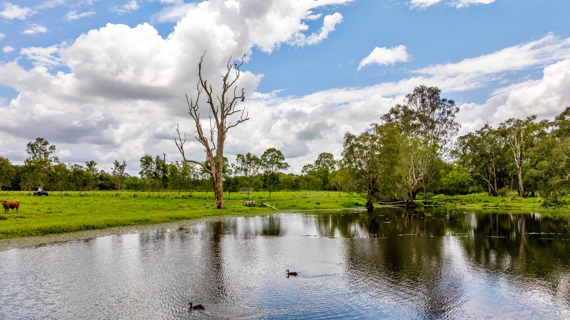 Additional image 2 of 6 Canando Street, Woodford QLD 4514