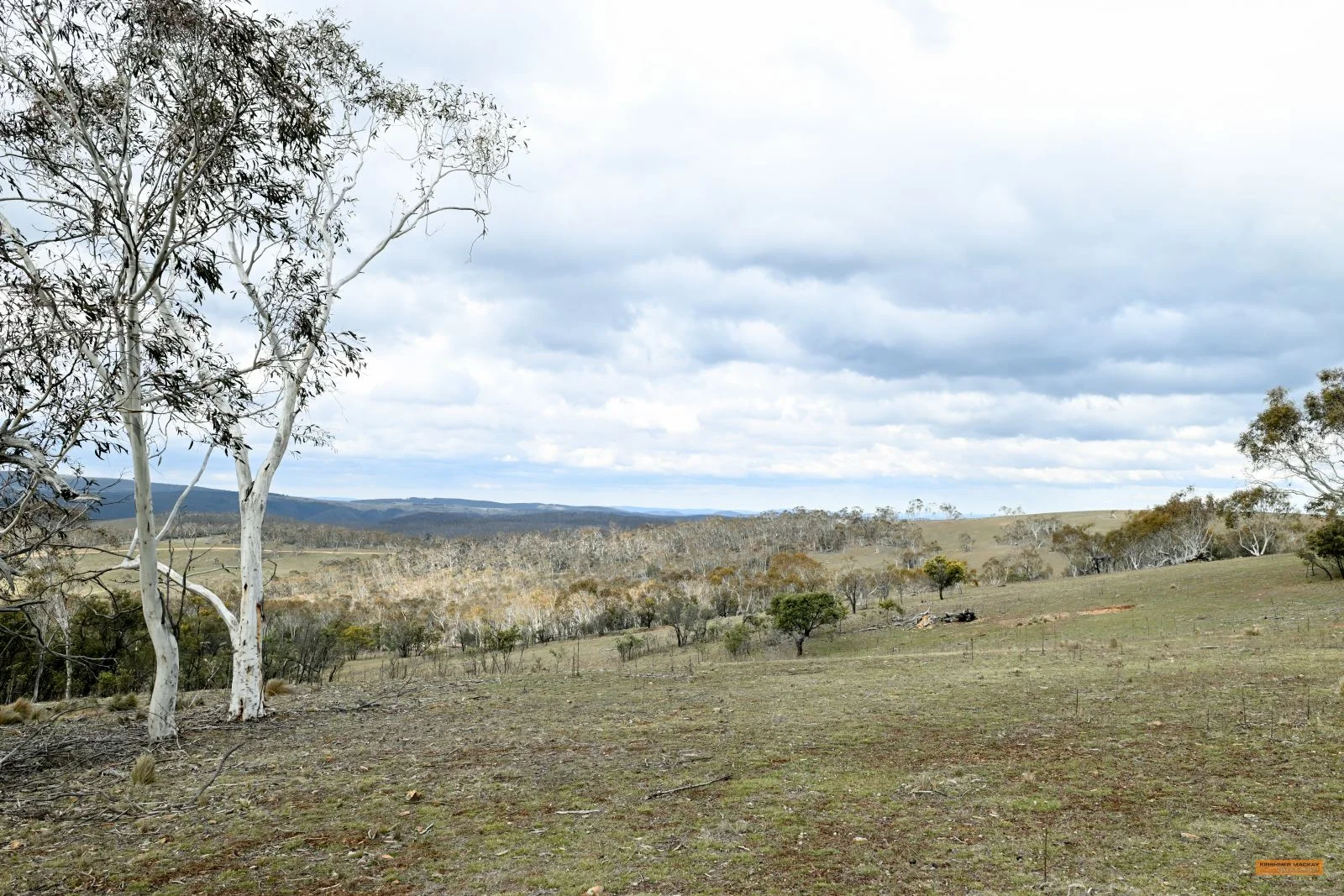 Additional image 26 of "Eagle Heights" 636 Caddigat Road, Dry Plain NSW 2630