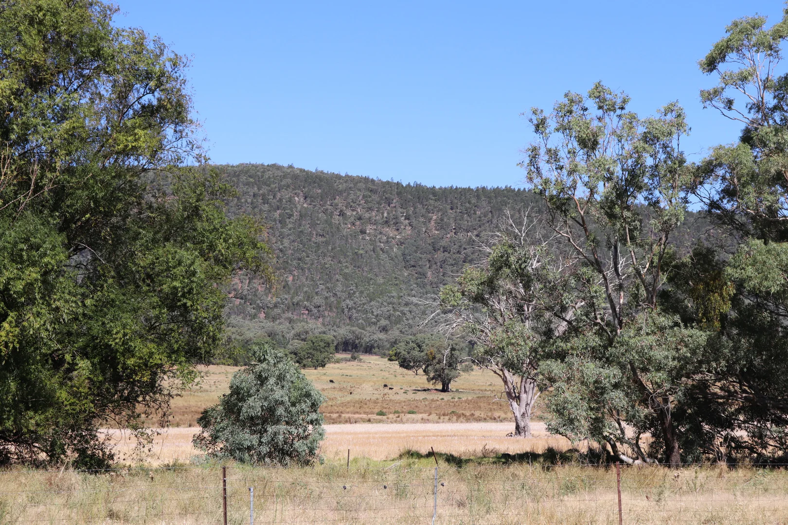 Additional image 6 of 2170 Adelargo Road, Grenfell NSW 2810