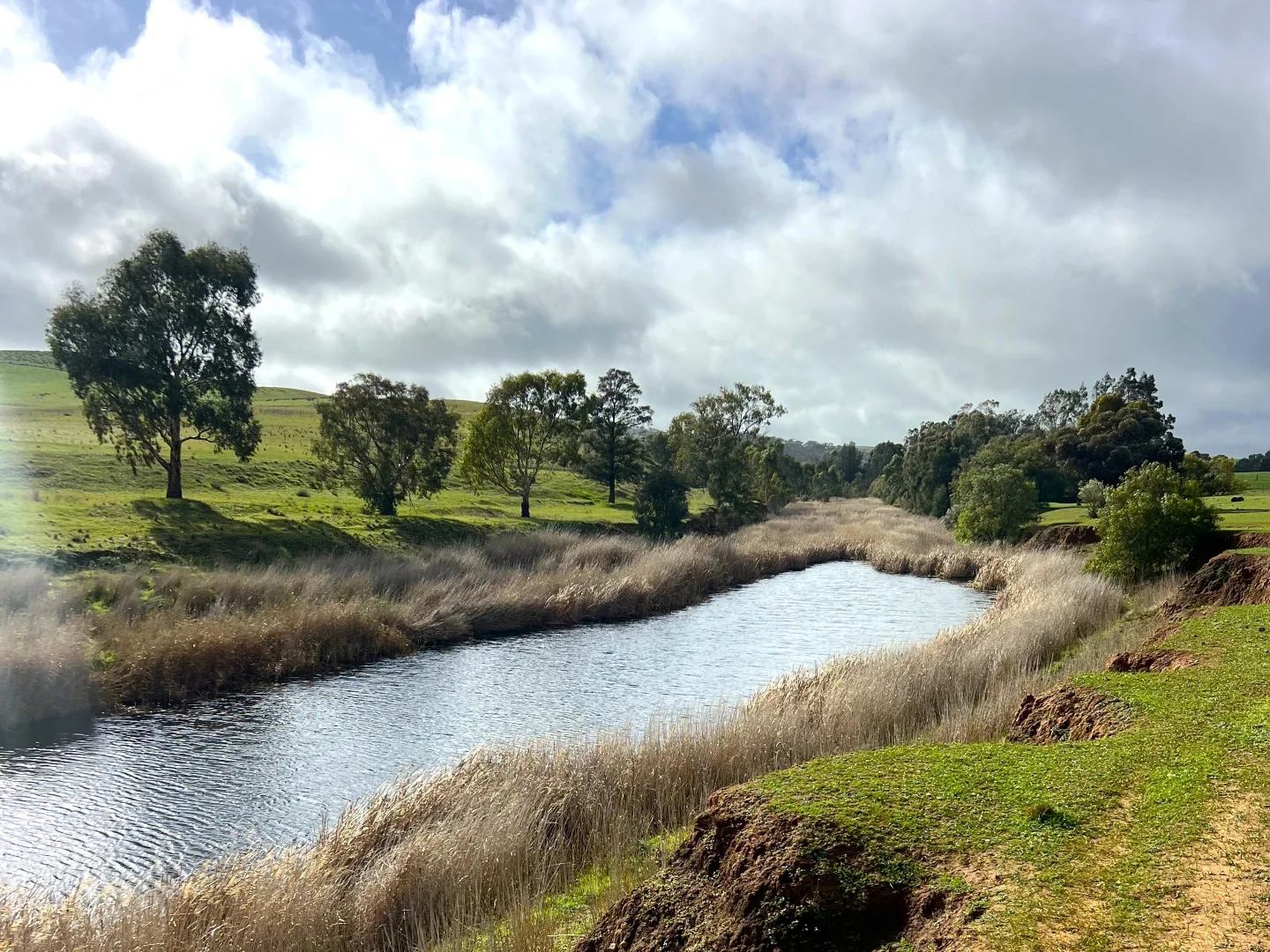 Additional image 22 of 'Broughton Valley' 1 Euromina Road, Broughton River Valley SA 5454