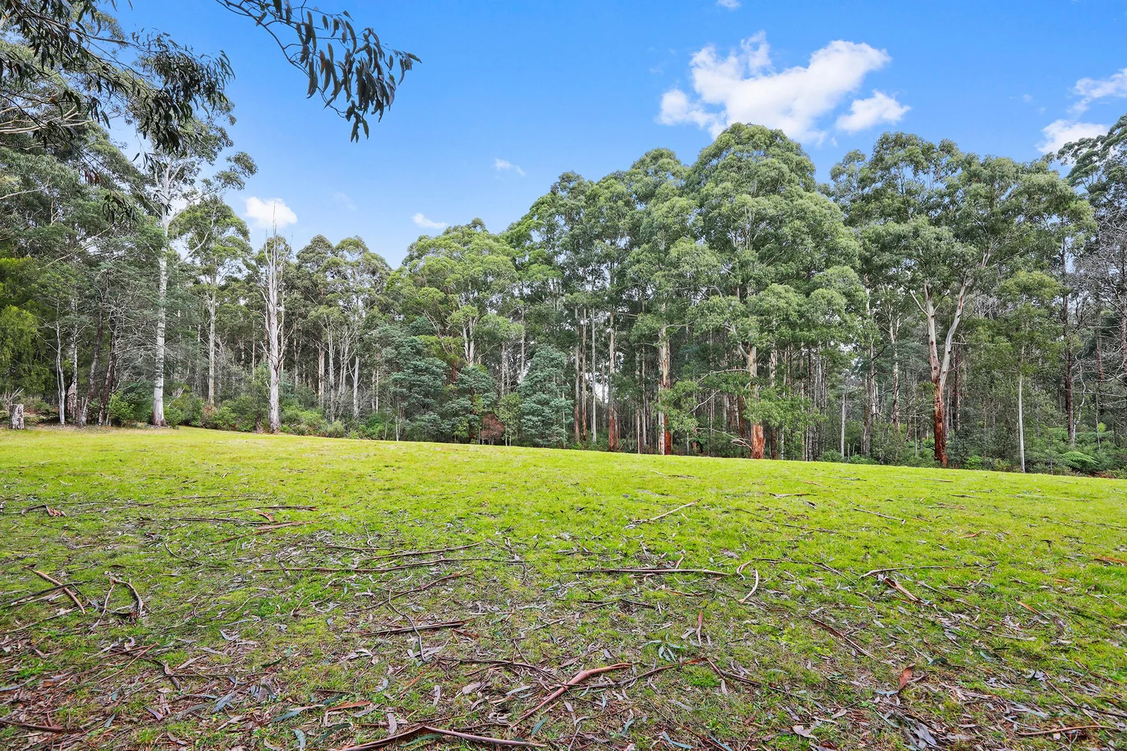 Additional image 13 of 2/2260 Mt Baw Baw Tourist Road, Icy Creek VIC 3833