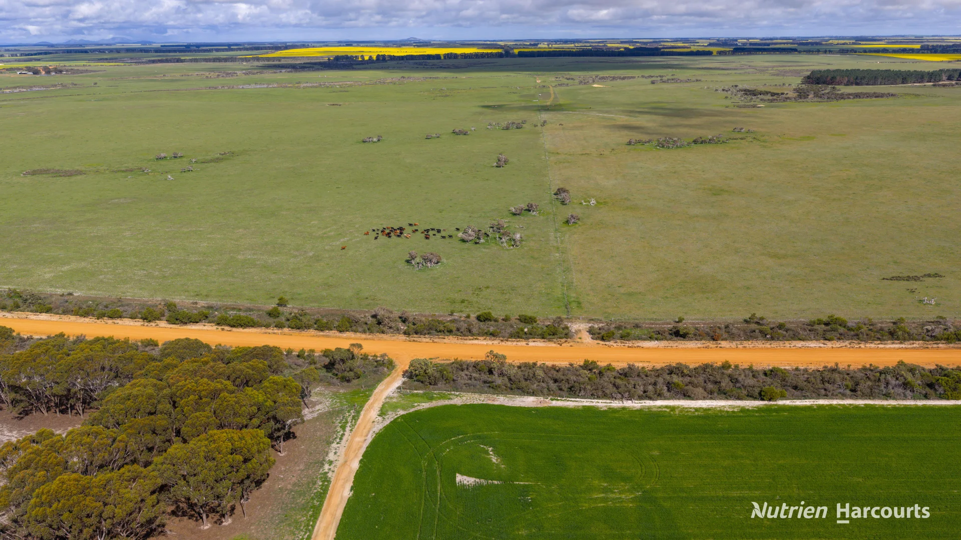 Additional image 16 of 1463 Savage Road, Neridup WA 6450
