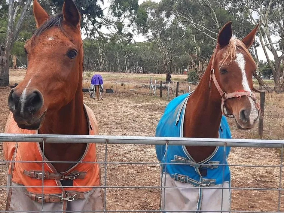 Additional image 3 of Lot 18 Cameron Street, Glenorchy VIC 3385