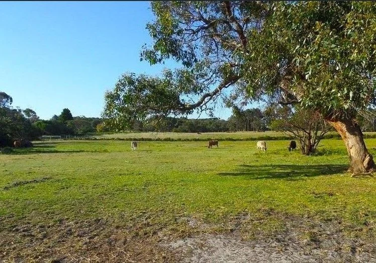 Additional image 30 of 72 DOUGHERTIES ROAD, Portland West VIC 3305