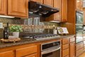 Additional image 18 of 6618 Sitio Sago, Carlsbad, CA, 92011