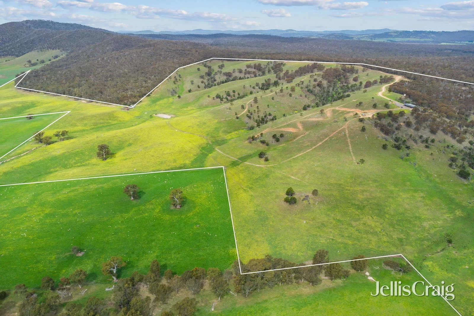Additional image 24 of Lot 8 Ben Major Track, Mount Lonarch VIC 3468