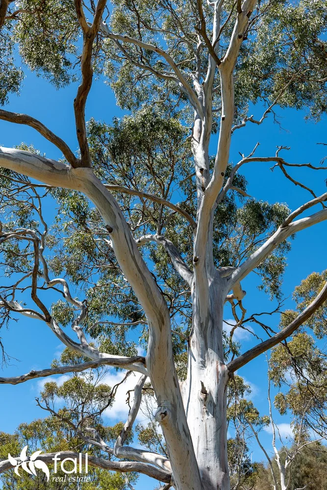 Additional image 16 of 402 Bruny Island Main Road, North Bruny TAS 7150