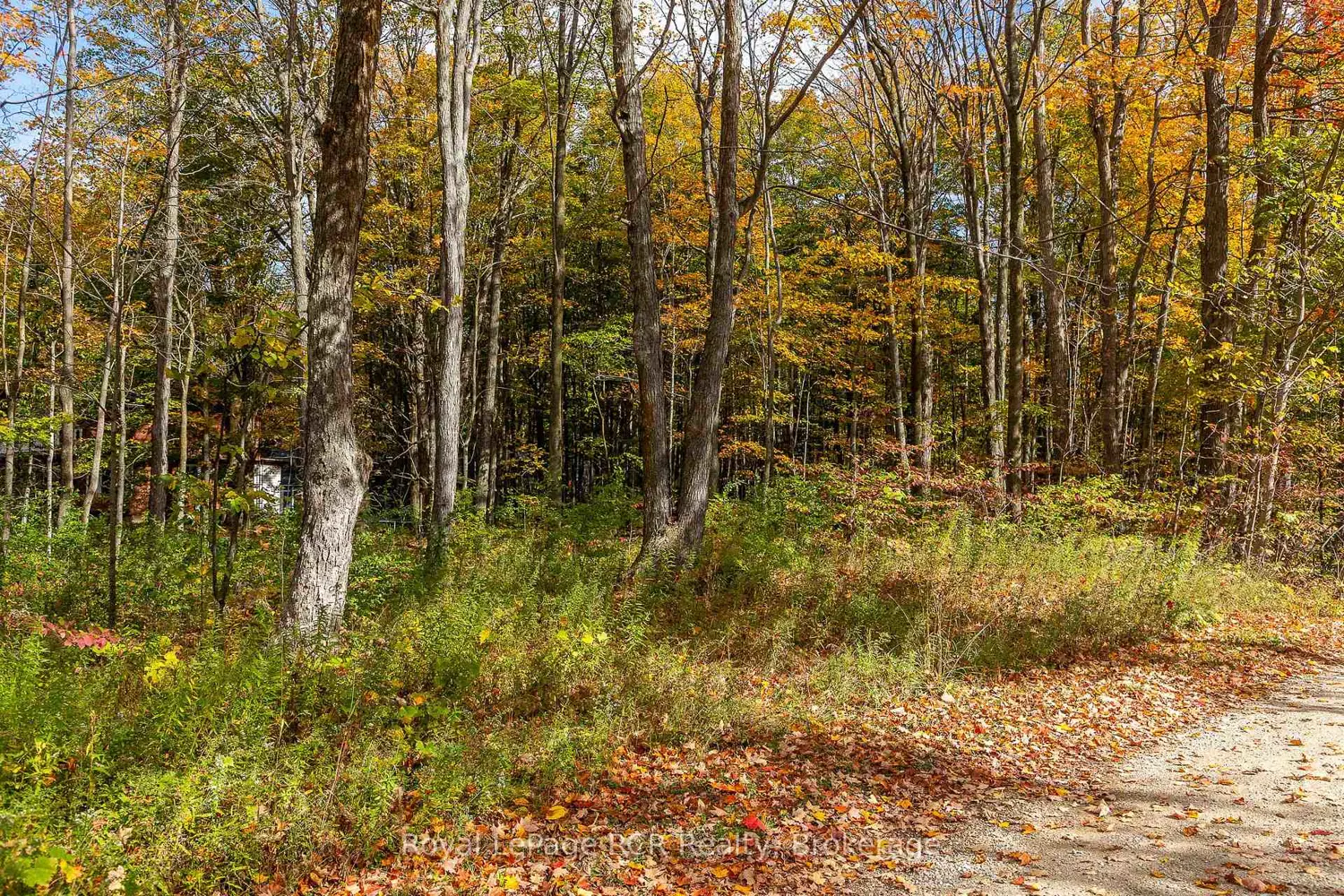 Additional image 5 of Lot 8 Green Acres Road