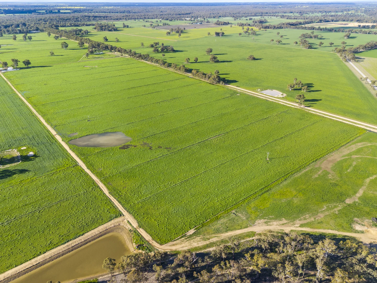 Additional image 3 of 210 Waser Road, Strathmerton VIC 3641