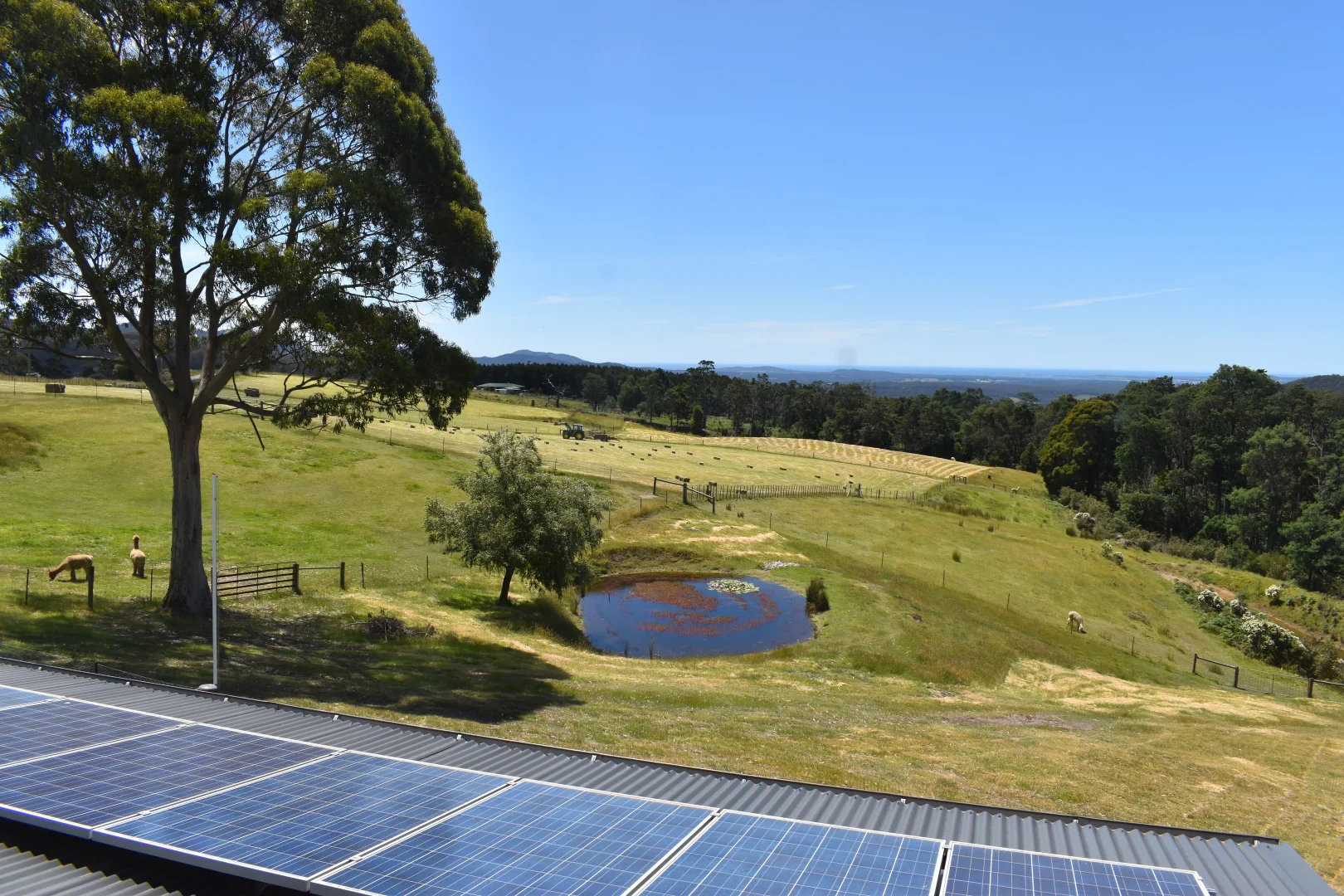 Additional image 34 of 1001 Holwell Road, Holwell TAS 7275