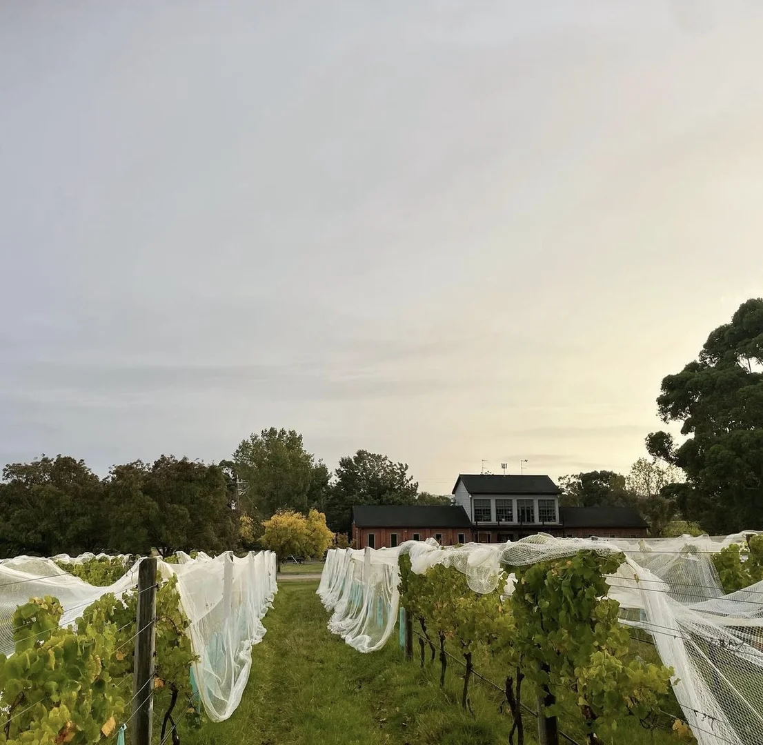 Additional image 22 of Harrisons Road, Dromana VIC 3936