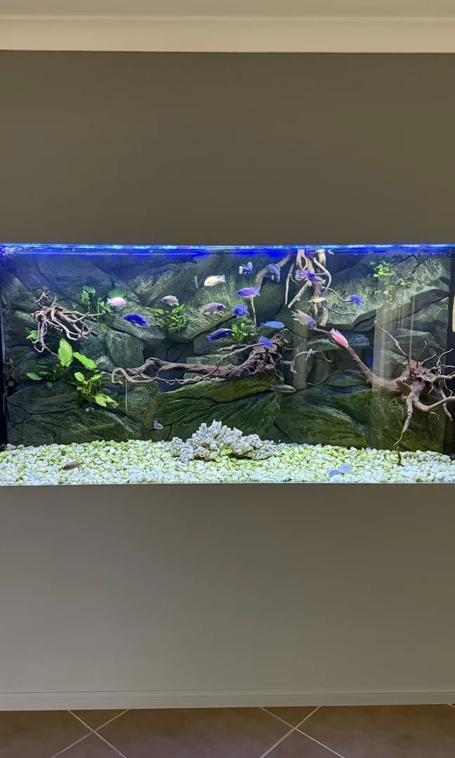 Additional image 8 of 32 Bernard Crescent, Kingaroy QLD 4610