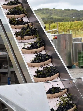 Additional image 40 of Harrisons Road, Dromana VIC 3936