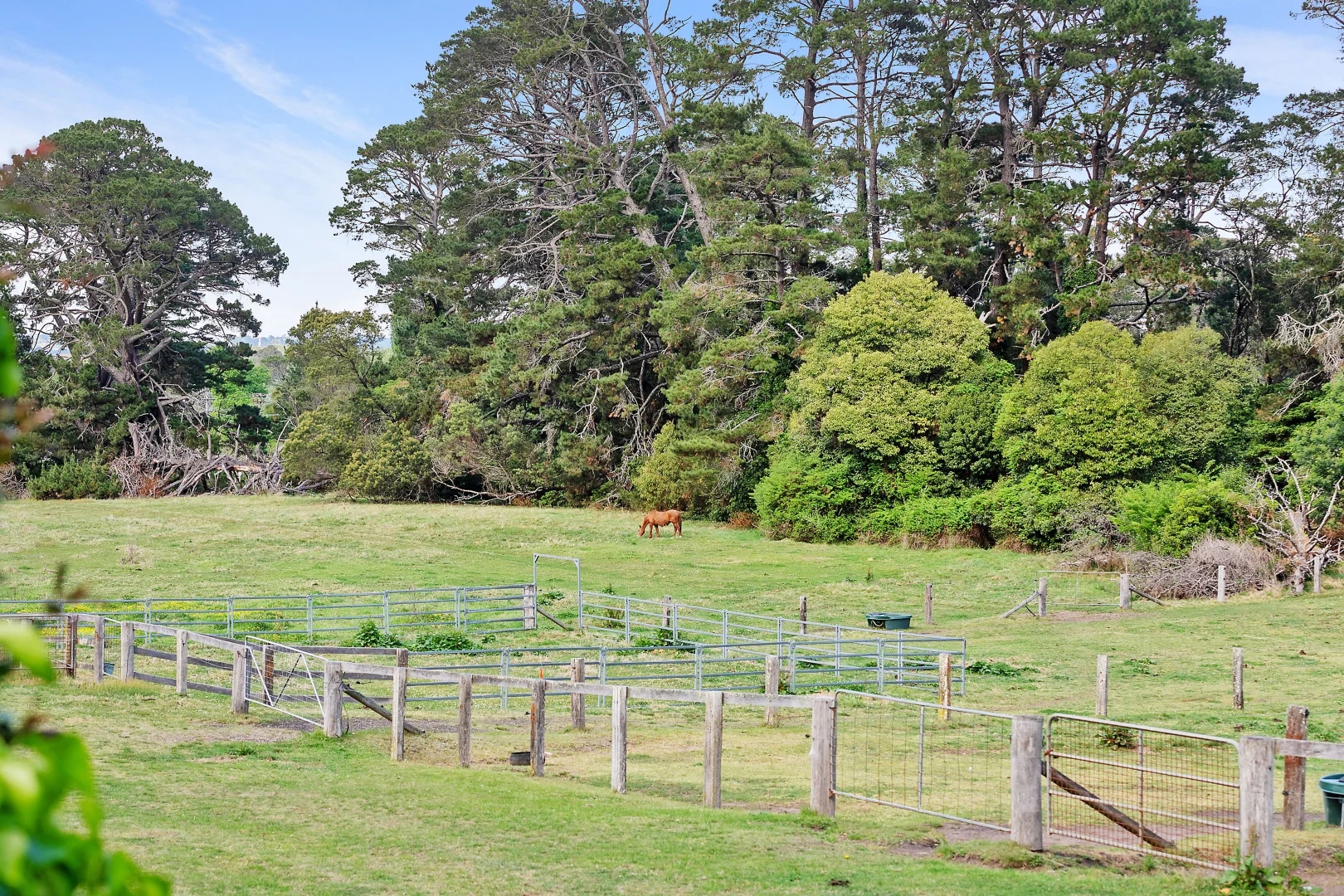 Additional image 27 of 202 Merrigang Street, Bowral NSW 2576