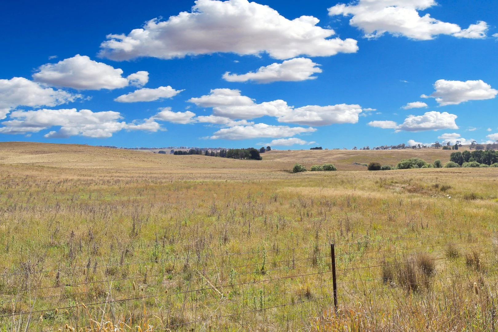 Additional image 22 of 77 Aerodrome Road, Bombala NSW 2632