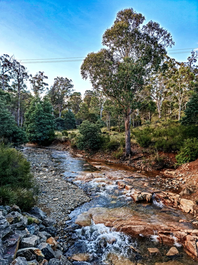 Additional image 13 of 8 Walter Street, Rossarden TAS 7213