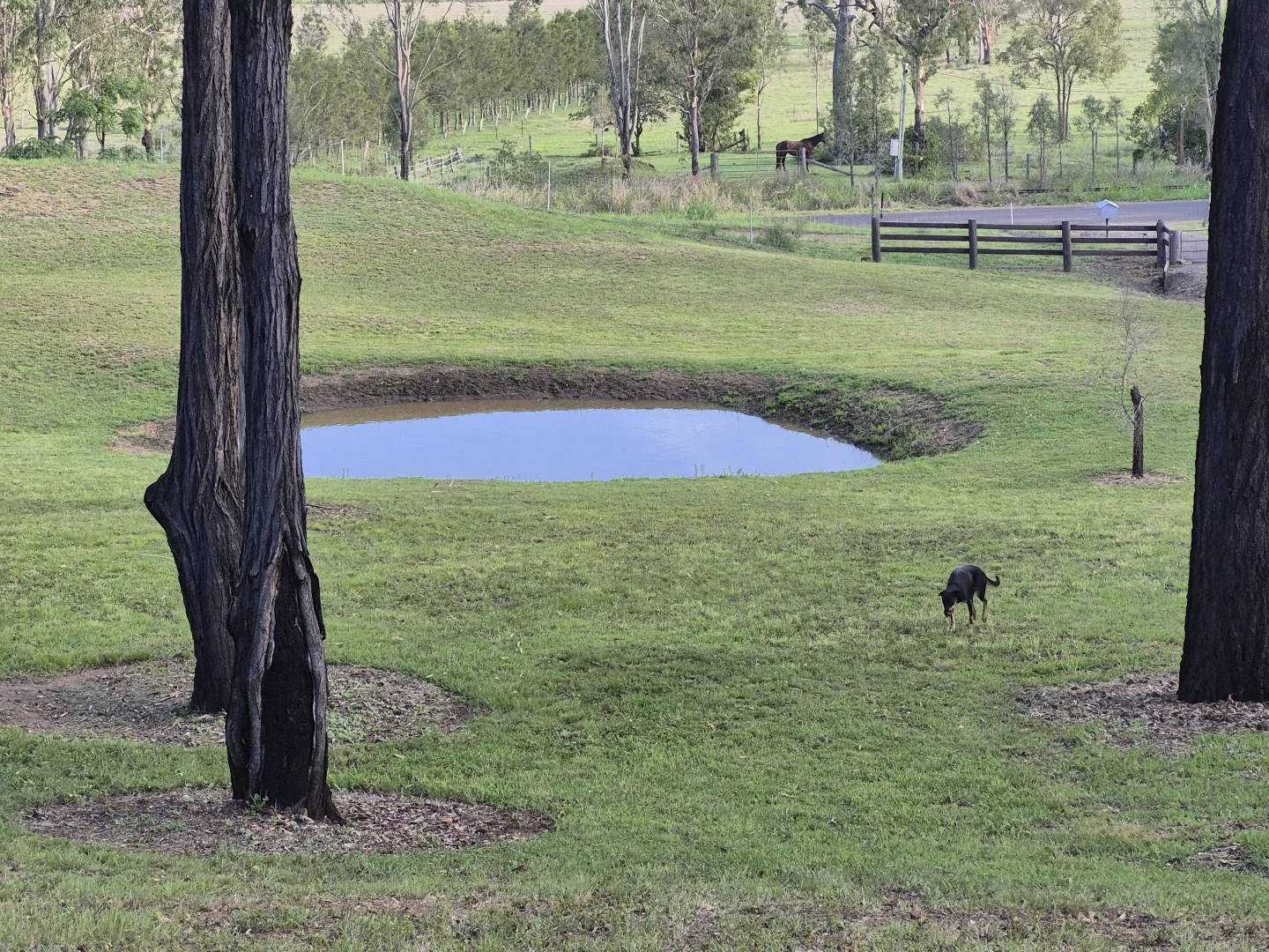 Additional image 15 of 1186 Wallaville Goondoon Road, Delan QLD 4671