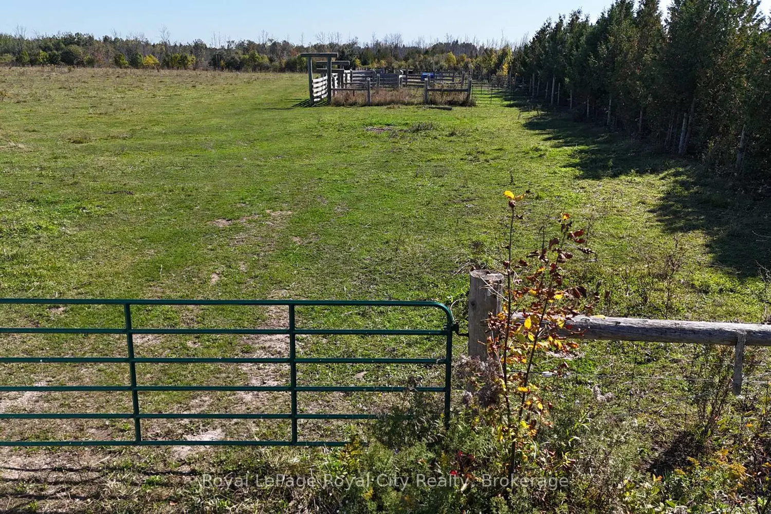 Additional image 15 of 2 Belrose Road