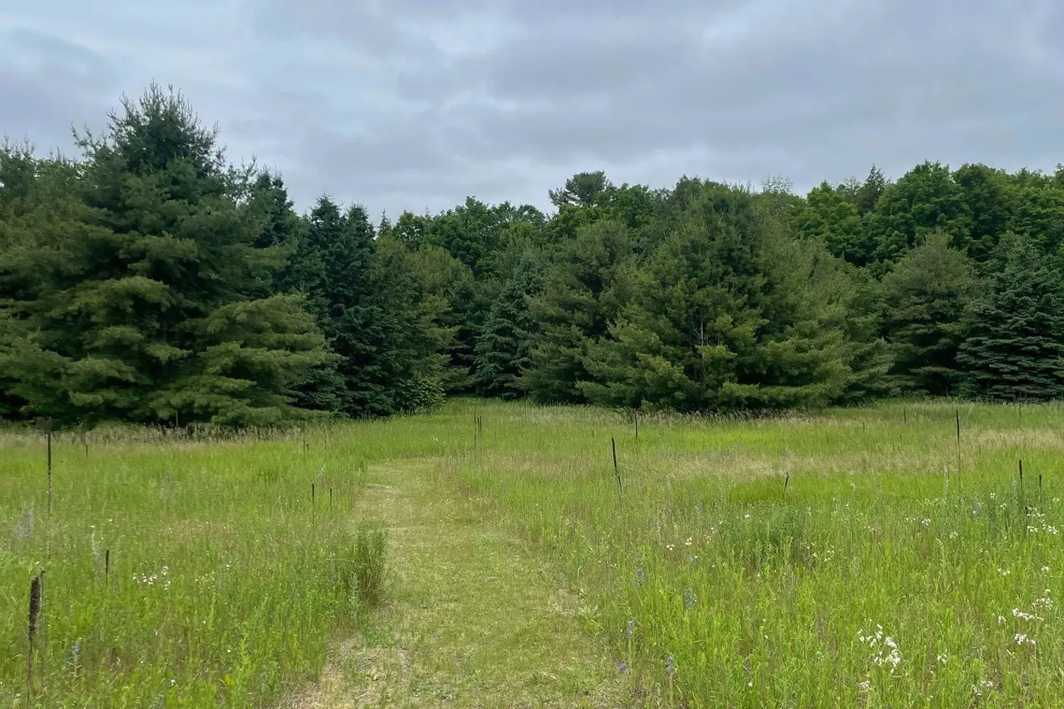 Additional image 5 of 79 Gummow Road