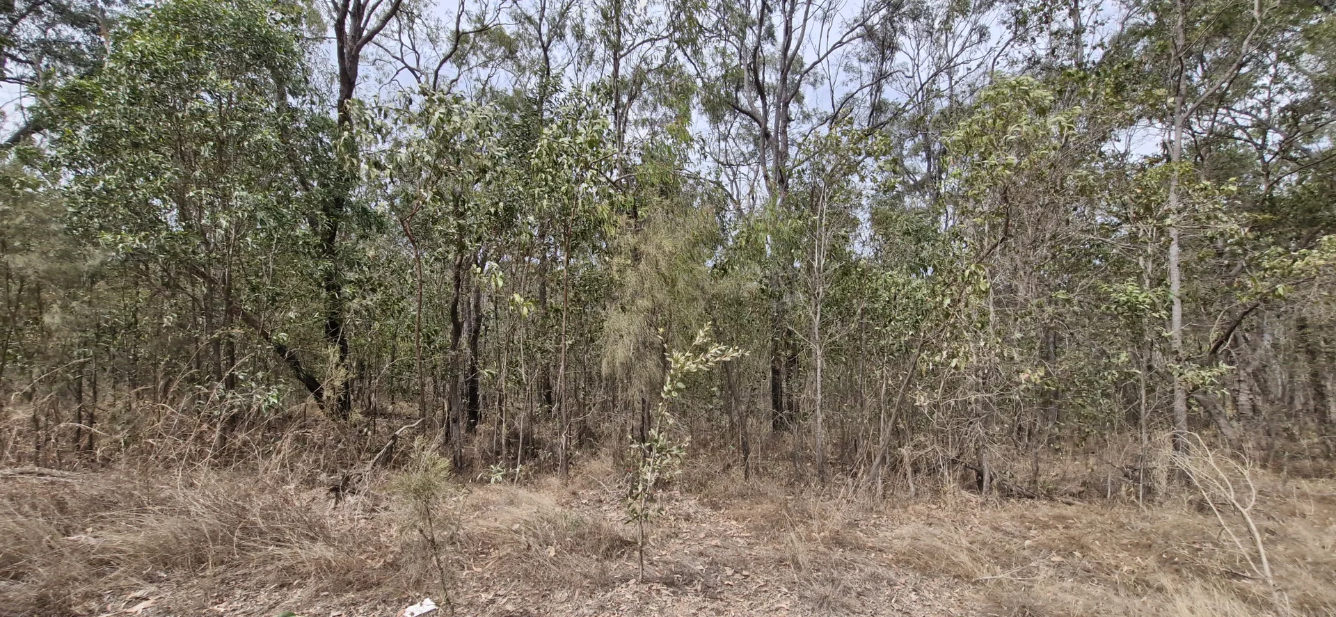 Additional image 2 of 56 Whytallabah Road, Euleilah QLD 4674