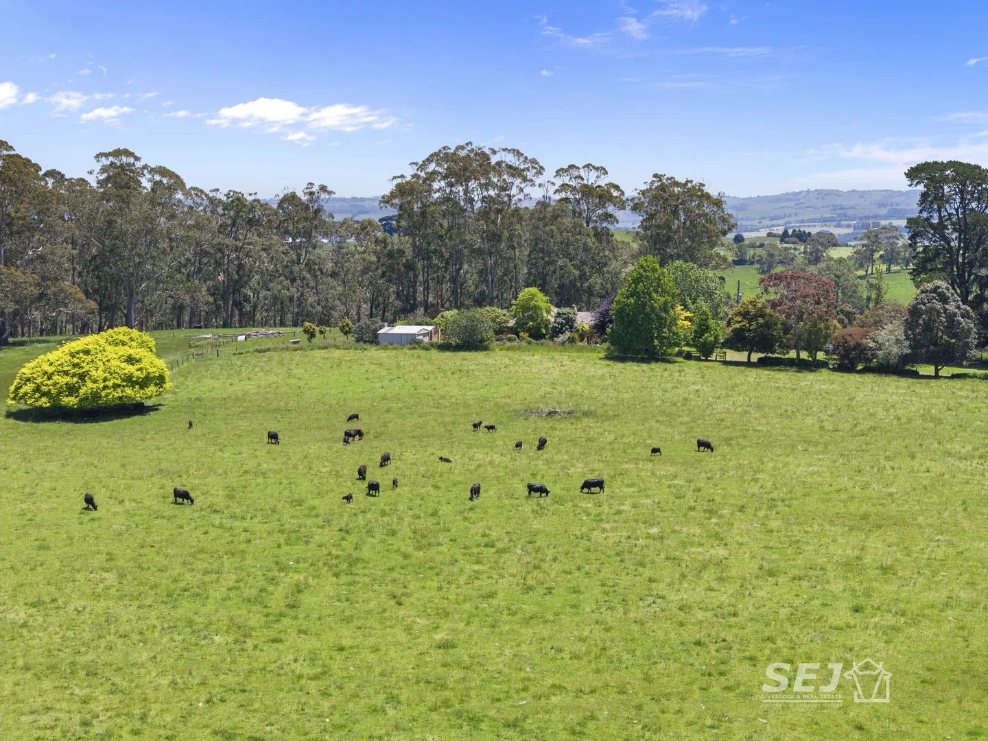 Additional image 30 of 155 Coulters Road, Mardan VIC 3953