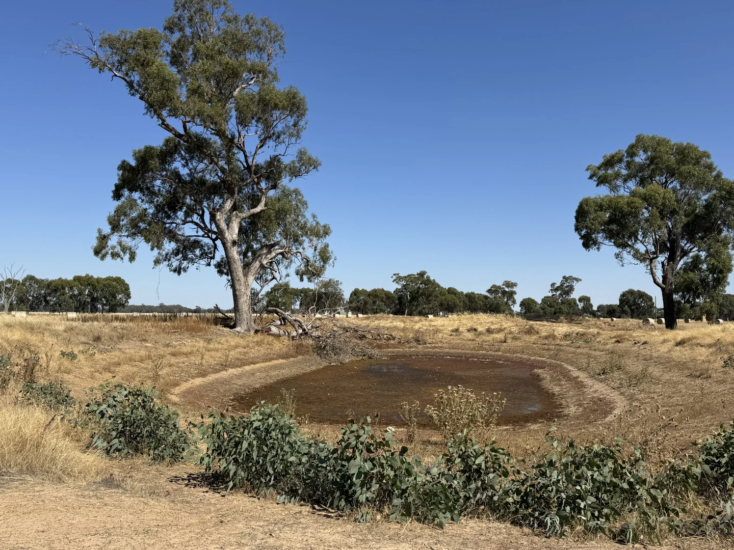 Additional image 12 of CA 60 Federation Way, Springhurst VIC 3682