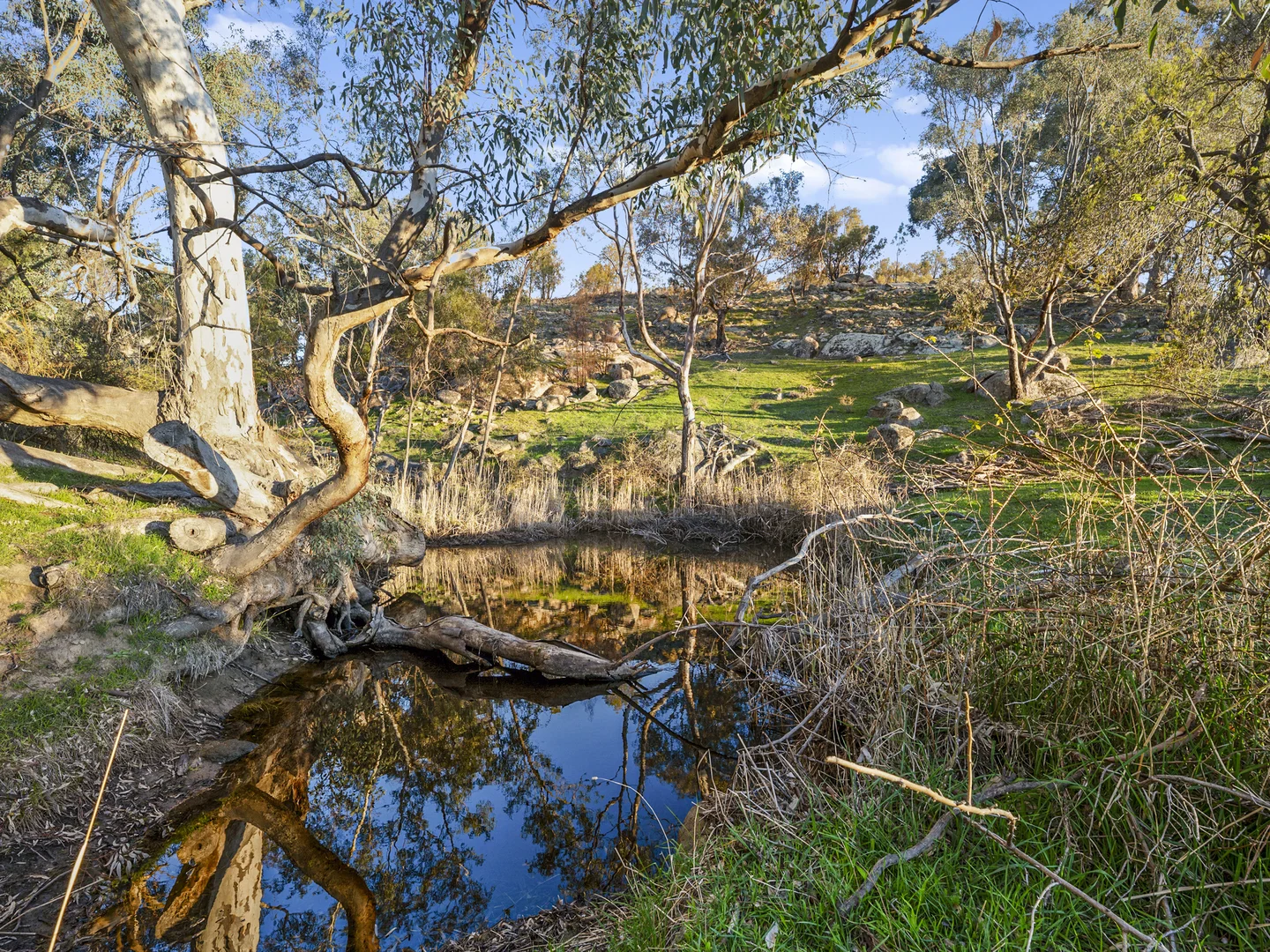 Additional image 44 of 304 Sheans Creek Road, Sheans Creek VIC 3666