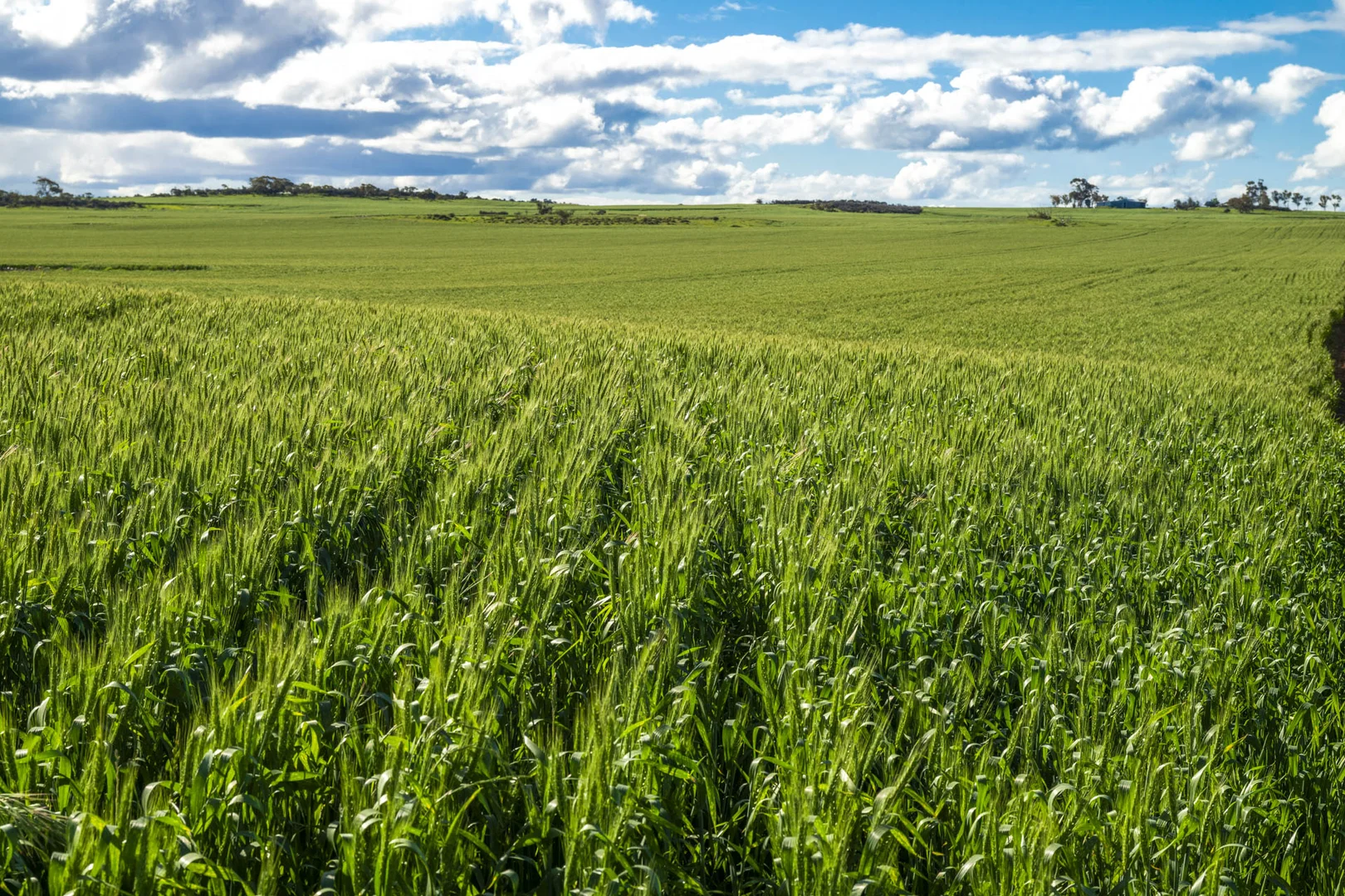 Additional image 15 of Midlands Road, Marchagee WA 6515