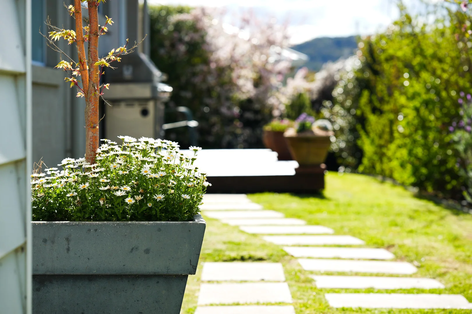 Additional image 13 of 45 CHALLONER RISE, Renwick NSW 2575